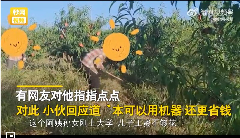 9. 每天雇30名60岁老人到果园干活，日薪80，小伙被网友质疑后回应了9月10日，河南郑州，郑州一小伙专门雇佣60岁以上老人干农活的视频引起网友热议，据小伙介绍，他种植了1200亩桃树，每天会雇佣30名60岁以上的工人来干活，每天工资是80元
