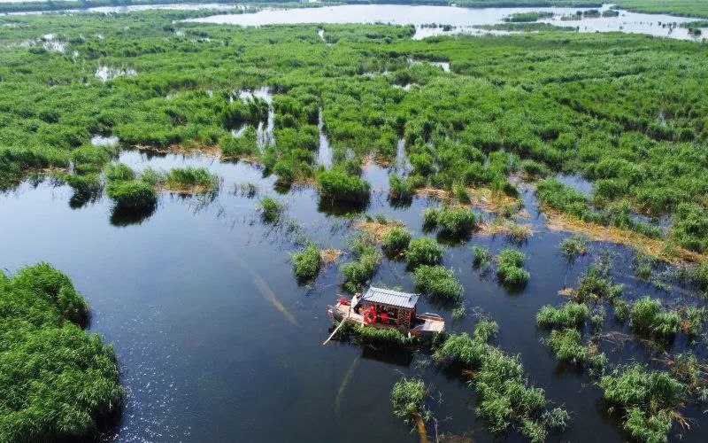 » 1、北京公交“开”进雄安新区，白洋淀旅游有了新方式5月底的白洋淀水清淀蓝，最负盛名的荷花虽还要半个月才开放，但水面上吹来的徐徐清风与芦苇丛中的阵阵鸟鸣也让人心驰神往，一艘艘载着游客的铝合金画舫船游弋其间