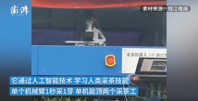 » 7 每秒采1芽，西湖龙井试点AI采茶员3月23日，浙江杭州，中国农业科学院的茶园中，采茶机器人上岗