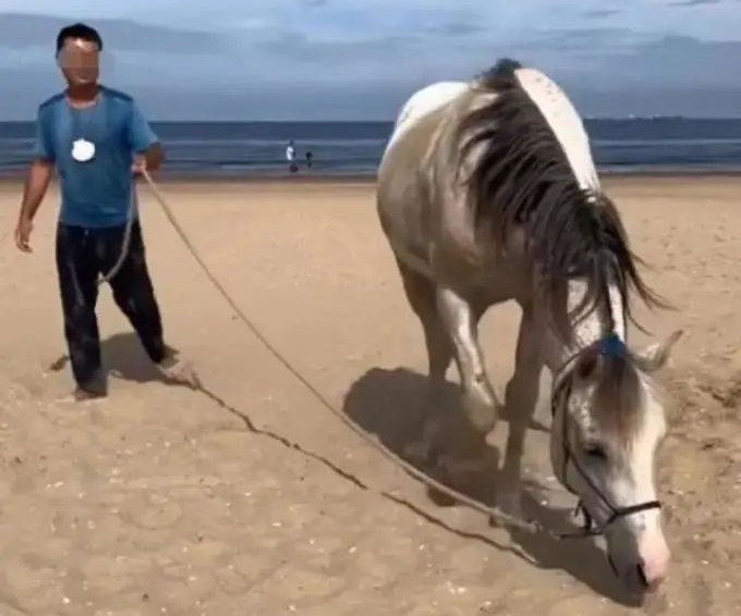 » 16. 从欧洲骑马回国是假的 当事人称自己在山西：玩大了，要道歉今年2月，32岁男子徐智显欲横穿欧亚大陆，骑马从西班牙回国，此事经媒体报道后引发网友关注