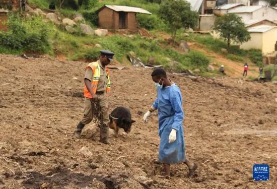 » 6. 热带气旋在马拉维致438人死亡3月17日，人们在马拉维布兰太尔受灾地区搜救