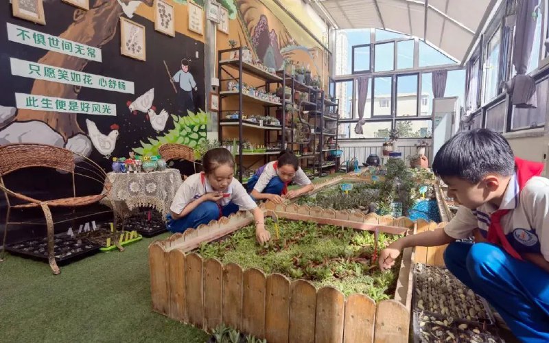 6. 各地中小学推行：“科科有思政”多媒体黑板上，武军老师列出4个数字：早上4点起床，5点到岗；晚上7点离岗，8点到家