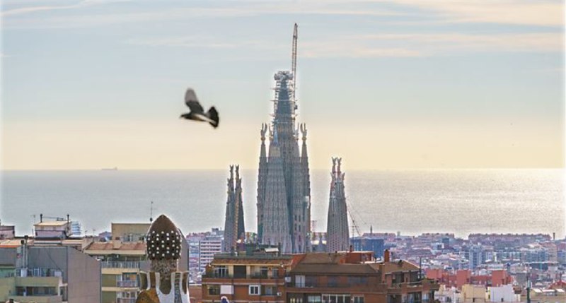 » 5、西班牙巴塞罗那圣家堂最高塔楼封顶2月20日，随着大型起重机将最后一块构件吊装至塔顶并完成固定，西班牙巴塞罗那地标建筑圣家族大教堂（圣家堂）最高塔楼结构完工，整体高度达到172.5米