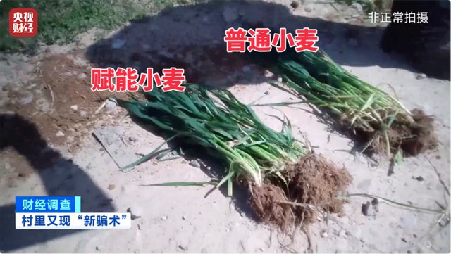 » 1. 河南平顶山市大面积设置“量子赋能”试验田4月22日，叶县联合调查组发布情况通报称，21日，央视网发布“用‘量子科技’种庄稼，抗病抗灾还增产？”报道