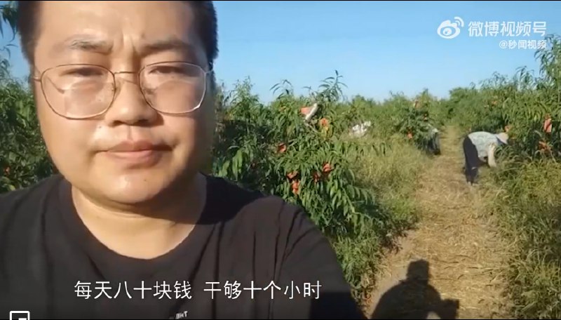 9. 每天雇30名60岁老人到果园干活，日薪80，小伙被网友质疑后回应了9月10日，河南郑州，郑州一小伙专门雇佣60岁以上老人干农活的视频引起网友热议，据小伙介绍，他种植了1200亩桃树，每天会雇佣30名60岁以上的工人来干活，每天工资是80元