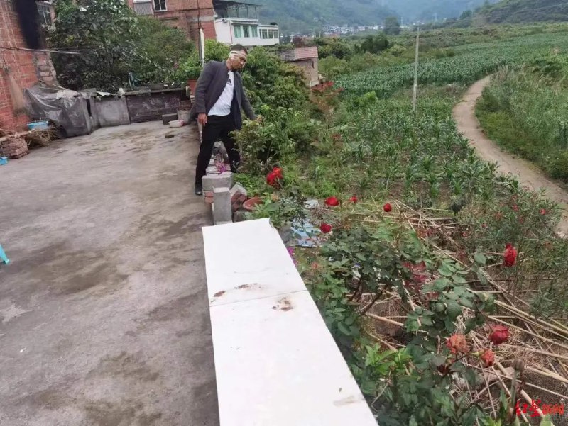 13. 四川：5岁男孩“开”三轮车载3岁妹妹冲向悬崖 村干部飞身挡车救下5月22日，位于金沙江边的四川宜宾市屏山县书楼镇，村民凌珀光带着两个孙儿，到卫生院看望与他非亲非故的邻村副主任王家书