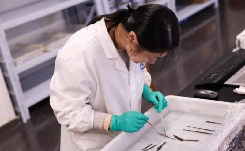 » 1、海昏侯墓确认发现秦汉时期全本《诗经》  明年修复完成南昌汉代海昏侯墓考古发掘成果公布十周年暨汉代区域文化学术研讨会8日在南昌举行，会上专家公布了海昏简牍的最新修复进展