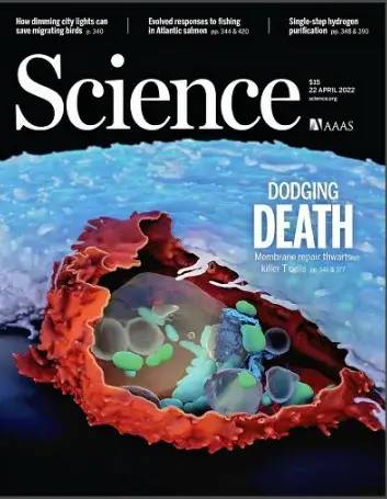 9. 美国科研团队发现2厘米巨型细菌据美国《科学》杂志官网报道，由美国劳伦斯伯克利国家实验室等机构组成的研究小组在24日发行的《科学》杂志上发表文章称，发现了最大长度可达2厘米的巨大细菌