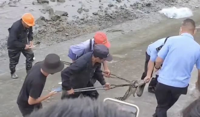 » 9. 上海黄浦江暹罗鳄经6天搜索落网近日，有市民向警方反映，在上海黄浦江内有一条长约1米的鳄鱼，并提供了相关影音资料
